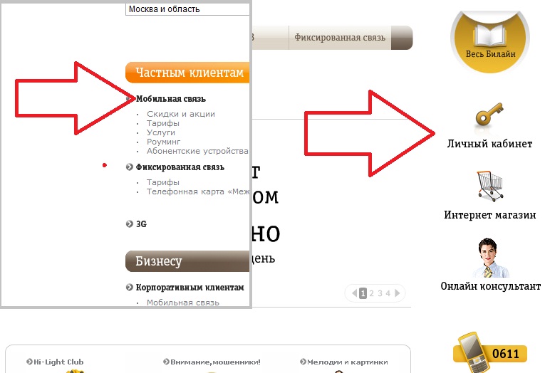 проводки как проверить до какого числа у тебя интернет год крашу волосы
