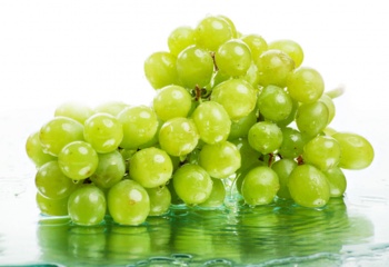 Виноградная диета: плюсы и минусы