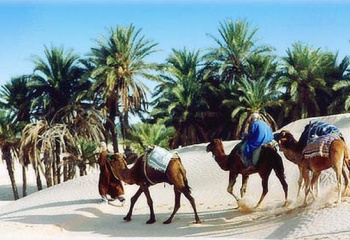 Тунис: экскурсия «путешествие в Сахару»