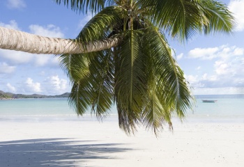 Сейшельские острова: рай на земле