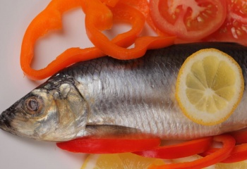 Белая рыба холодного копчения: вред и польза