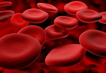 Низкий гемоглобин: как восполнить дефицит железа в организме