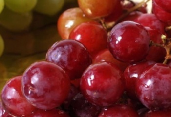 Виноград: полезный, вкусный и опасный