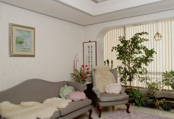 Комнатные цветы в интерьере квартиры