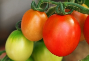 Огурцы и томаты в домашней косметологии