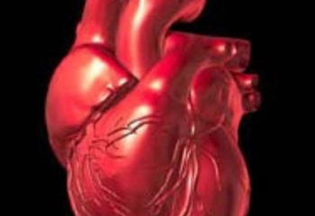 Как защитить свое сердце