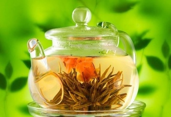  Травяные чаи и отвары для похудения