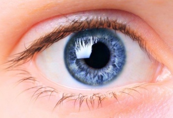 Как проверить глазное дно 