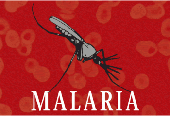 Как вылечить малярию
