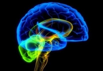 Как улучшить мозговую деятельность