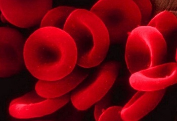 Что такое гемоглобин