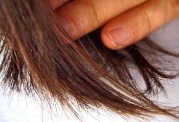 Как восстановить кончики волос 