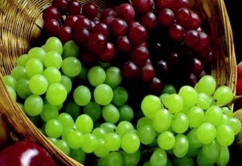 Маски из винограда: уход за сухой кожей лица