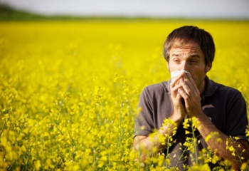 Диагностика заболеваний: такая разная аллергия
