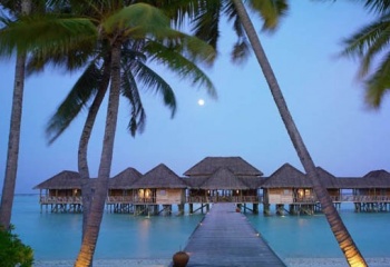 Свадебные туры на Мальдивские острова