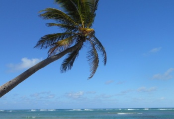 Райские острова Сейшелы: идеальное место для романтического отдыха
