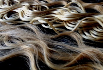 Откуда берут волосы для наращивания: развенчиваем мифы