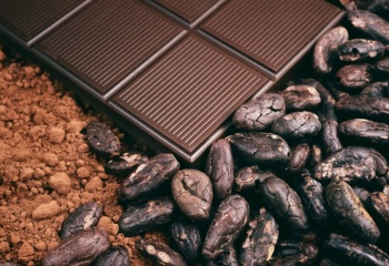 Полезные свойства какао-бобов