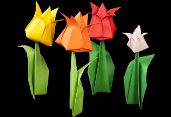 Бумажные цветы своими руками: тюльпан из бумаги