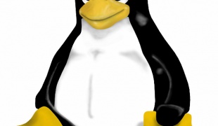 Как русифицировать Linux
