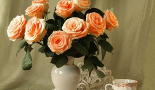 Rosy v vase